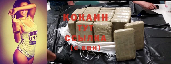 2c-b Ельня