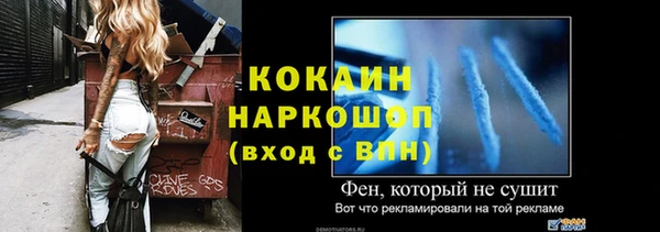2c-b Ельня