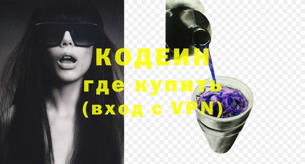 2c-b Ельня