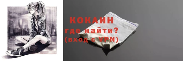 2c-b Ельня