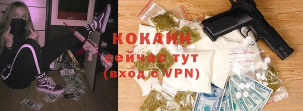 2c-b Ельня