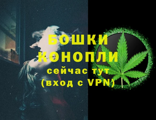 2c-b Ельня
