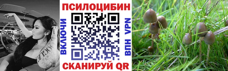 Галлюциногенные грибы Psilocybine cubensis Купить закладки Игарка